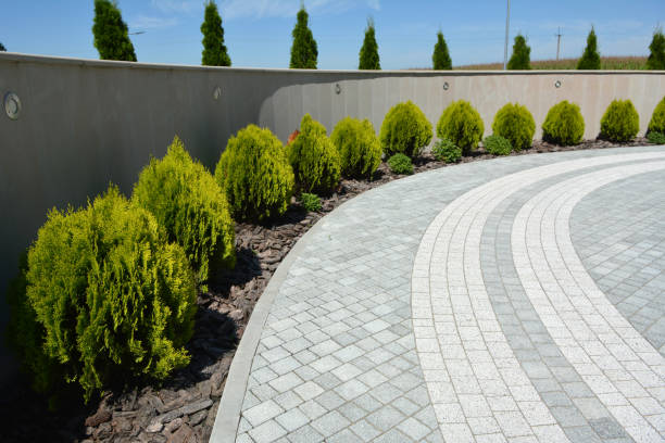 Best Driveway Repair Near Me  in Hamburg, AR